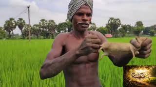அமெரிக்காவையே மிரட்டிய தமிழர்கள்: இருளர் பழங்குடிகளின் மர்மமான முழு வரலாறு! Irular history in Tamil
