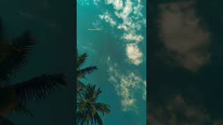 Download Lagu #welcome to hamare coconut tree ki angle ki best scene best #ringtone   #music MP3