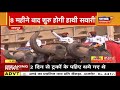 Rajasthan: आज से मिलेंगे Mehandipur Balaji के दर्शन | Breaking News