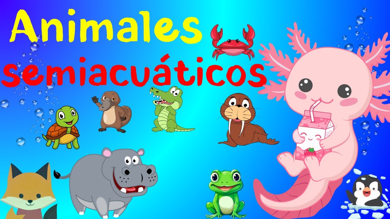 Aprende los nombres y sonidos de los animales semiacuáticos para los