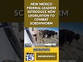 New Mexico federal leaders introduce new legislation to combat screwworm