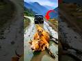 Help For Cow #trending #short #train #cow #entertainment #ai