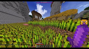 【Minecraft】Hypixel Hacker Report #81 - _EnderLavaMC_