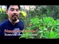 Nowhere Else on Earth: Indigenous Plants of Hawaii