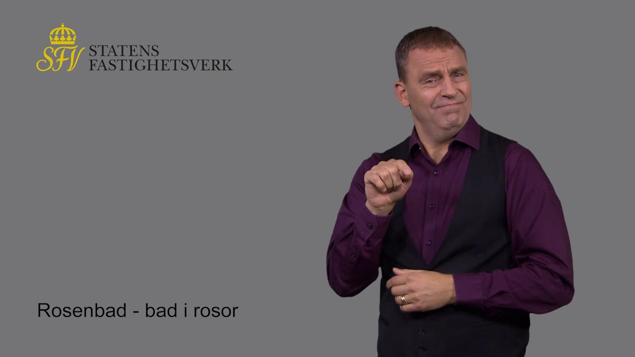 Teckentolkat om kvarteret Rosenbad