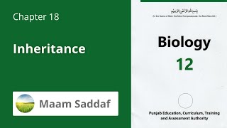 Inheritance | Class 2nd Year | Biology | chapter 18 | Lecture 7 | 2026 New Course 