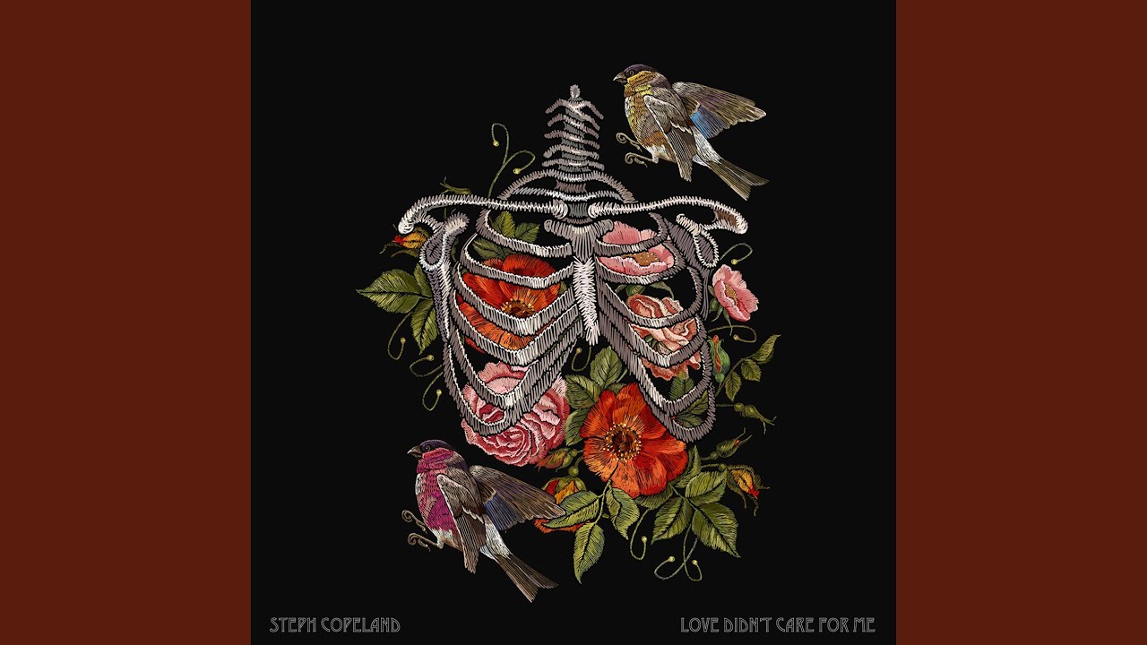 Love Didn't Care For Me