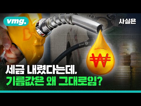 유류세 내렸는데, 기름값은 그대로다? / 사실은 / 비디오머그