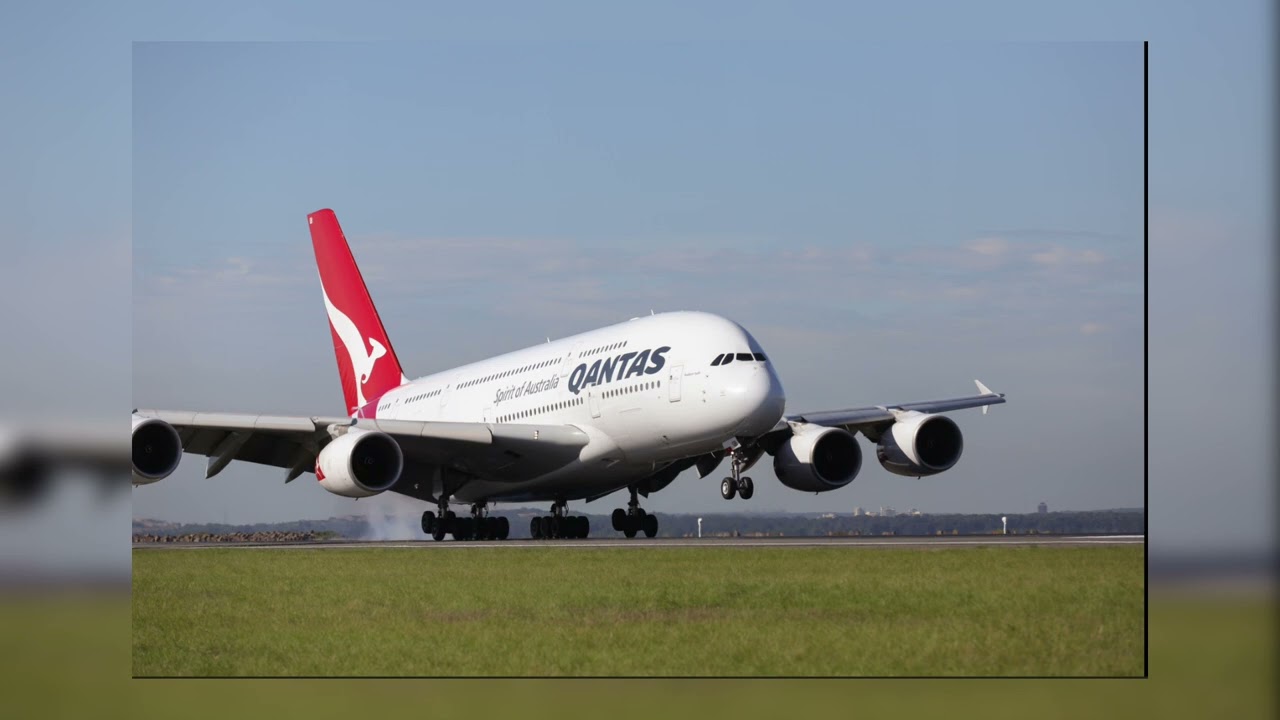 𝙀𝙡𝙮𝙊𝙩𝙩𝙤- 𝙎𝙪𝙜𝙖𝙧 𝘾𝙧𝙖𝙨𝙝! (𝙎𝙡𝙤𝙬𝙚𝙙 𝙖𝙣𝙙 𝙘𝙡𝙚𝙖𝙣)