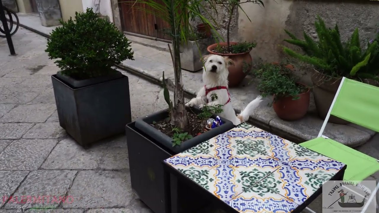 +++PALERMO | LA KALSA | SICILIA | KALSA DISTRICT | EPISODE 3 |+++