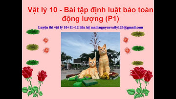 Vật lý 10 - Bài tập định luật bảo toàn động lượng (P1) @vatlythptqt