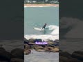 HANG TEN!! #localripper #surfing #longboard #subscribe #australia