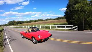 1981 Alfa Romeo Spider