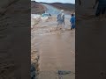 تهور وكارثة