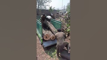Unloading Timber the Hard Way | Wood Link #shorts