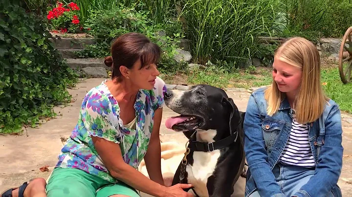 Interview mit StRin Ellen Meier