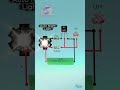 🌙 Automatic LED Light | Turns ON in Dark | LDR Circuit #Shorts