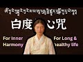 西藏疗愈心咒音乐会｜Drukmo Gyal World Tour 2025 | Mother Energy  | White Tara | སྒྲོལ་དཀར | 白度母 | たらぼさつ