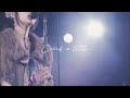 GARNET CROW「Cried a little」仁和寺ライブver.