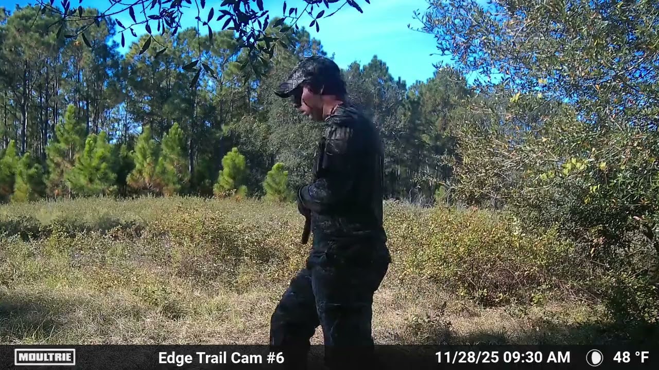 Florida Wildlife 2025: Best Nomadic Trail Cam Moments