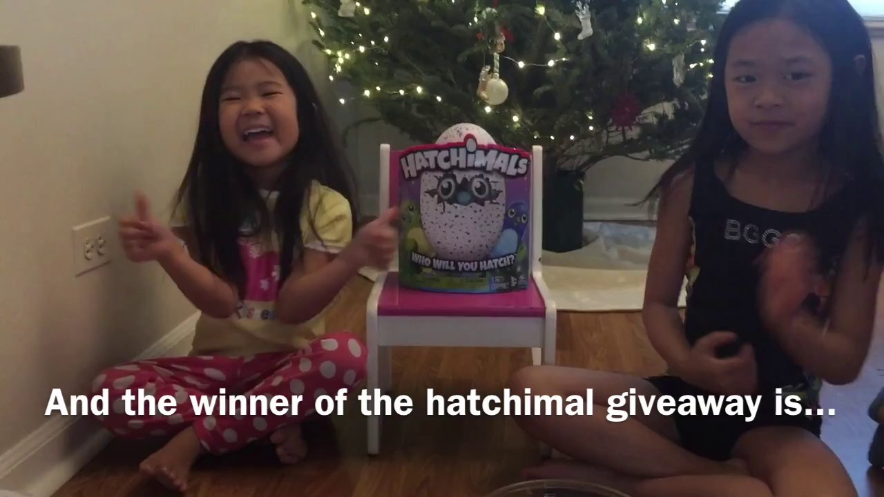 And the winner of the hatchimal giveaway is...