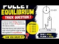 Pulley Equilibrium Trick Question | Man on Plank System | NEET Physics Mechanics
