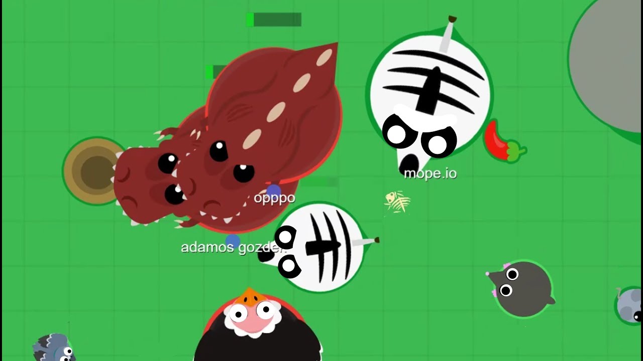 Mope.io| Best kills#5 epic double kill with zebra