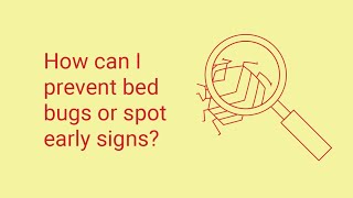 What Are Early Signs of Bed Bugs?