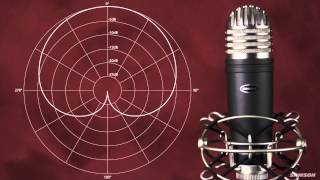 Samson MTR101A 1 Condenser Microphone Overview | Full Compass