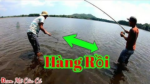 Câu Cá TV Ra Hồ Núi Le Câu Lăng Xê Và Kết Quả Bất Ngờ ✅ Nhí CuTe