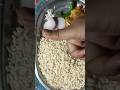 Muri with kachri#murirecipe #muri #guptakitchen #cooking