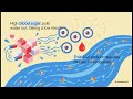 Hyponatremia: sodium issue 
