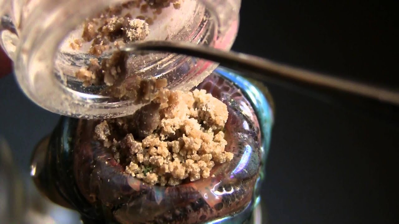 tokin daily: meltimus maximus