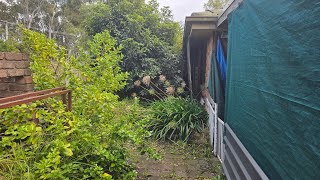 DISASTER of a backyard gets MASSIVE clean up!  Part 2 | This was NEGLECTED for 13 YEARS!!!