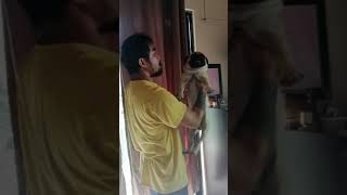 Pro is guilty | Pug caught int 4k