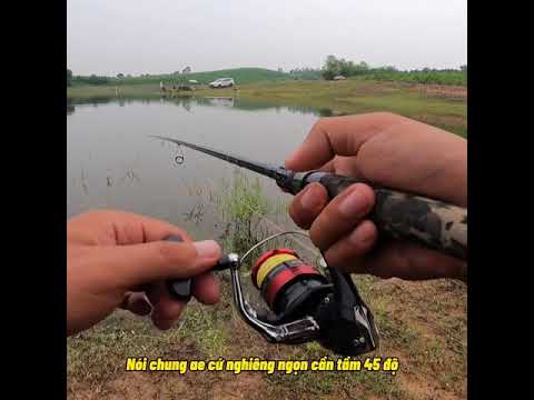 Cách câu lure mồi mềm cơ bản cho ae tập chơi