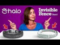 Halo vs Invisible Fence GPS (Shocking Setup/Support Battle)