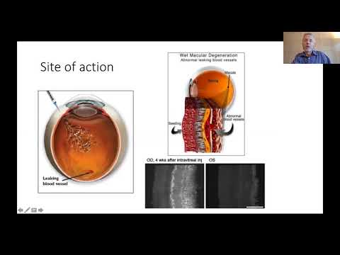 Video: Pärismaailma Andmed Võrkkestahaiguste Kohta, Mida Ravitakse Vaskulaarse Endoteeli Kasvufaktori (anti-VEGF) Raviga - Süsteemne Lähenemisviis Andmeallikate Tuvastamiseks Ja Iseloomus