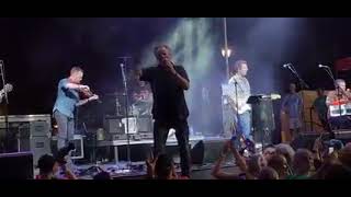 Watch Elders 1849 video