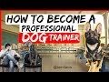 How to become a professional dog trainer  everything you need to know to become a dog trainer