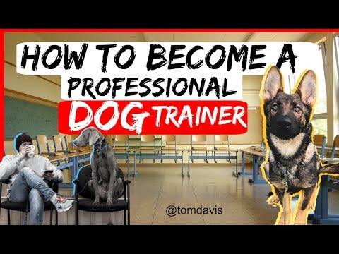 Video: How To Apply For A Dog Handler