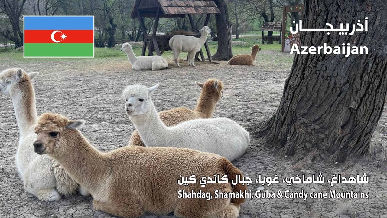 Shamakhi, Guba, Shahdag and others (Azerbaijan) 🇦🇿 شماخي، شاهداغ، غوبا ومناطق أخرى (أذربيجان)
