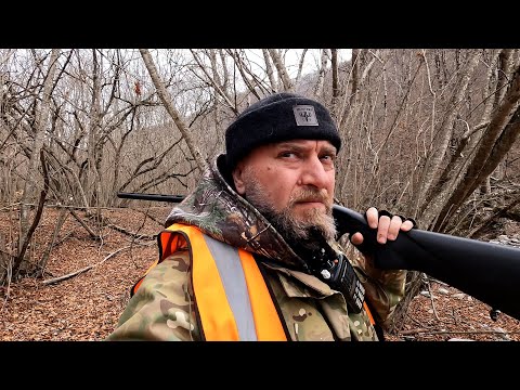 ლეგიონის ერთი ჩვეულებრივი დღე