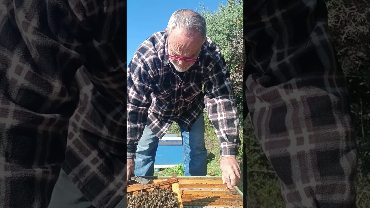 Σκάλες από τώρα.