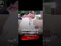 امك يا ابن الأجواد لحد يزعل أمه ما شاء الله امك يا ابن الأجواد لحد يزعل أمه ما شاء الله