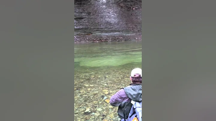 ORVIS - Steve Hemkens Catching a Steelhead On The Fly