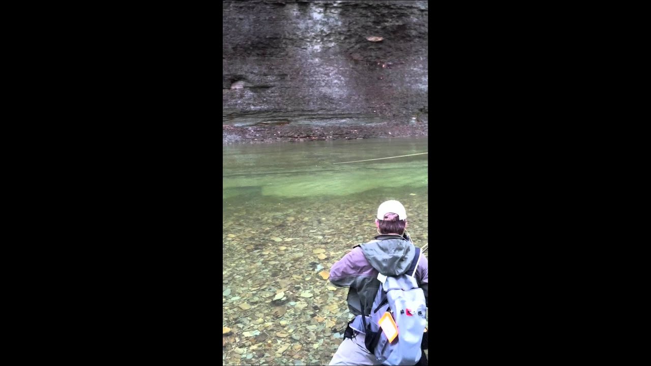 ORVIS - Steve Hemkens Catching a Steelhead On The Fly