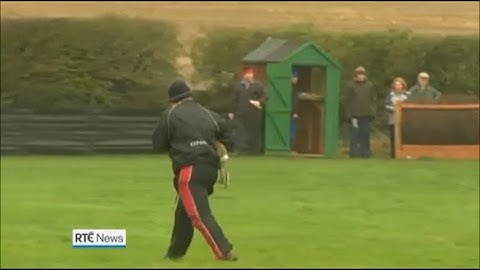 Hare coursing cruelty on RTE News