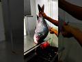 Just Amazing Big River Katla Fish Cutting Expert Cutter Man In Bangladesh Super shop Shorts Skills
