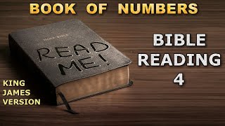 Book of Numbers. Bible Reading. King James Version.